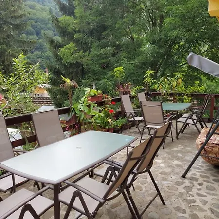Casa Barcaru Guest house *